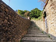 01 Scaletta delle more